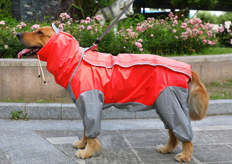 Waterproof Four-Leg Dog Raincoat for Large Dogs and Golden Retrievers Red and gray