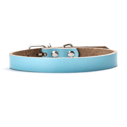 Premium Genuine Leather Dog Collar and Chain for Medium and Large Dogs Blue