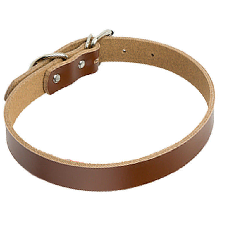 Premium Genuine Leather Dog Collar and Chain for Medium and Large Dogs Brown