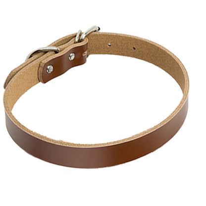 Premium Genuine Leather Dog Collar and Chain for Medium and Large Dogs Brown