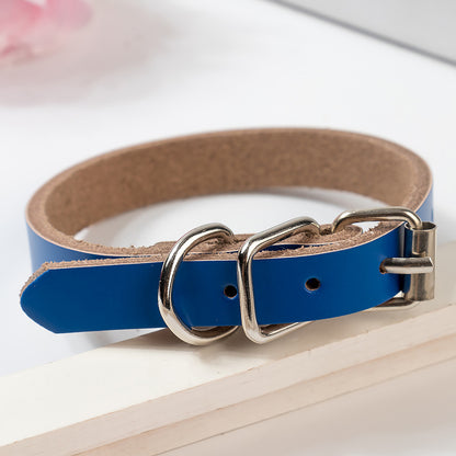 Premium Genuine Leather Dog Collar and Chain for Medium and Large Dogs Blue