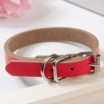 Premium Genuine Leather Dog Collar and Chain for Medium and Large Dogs Red