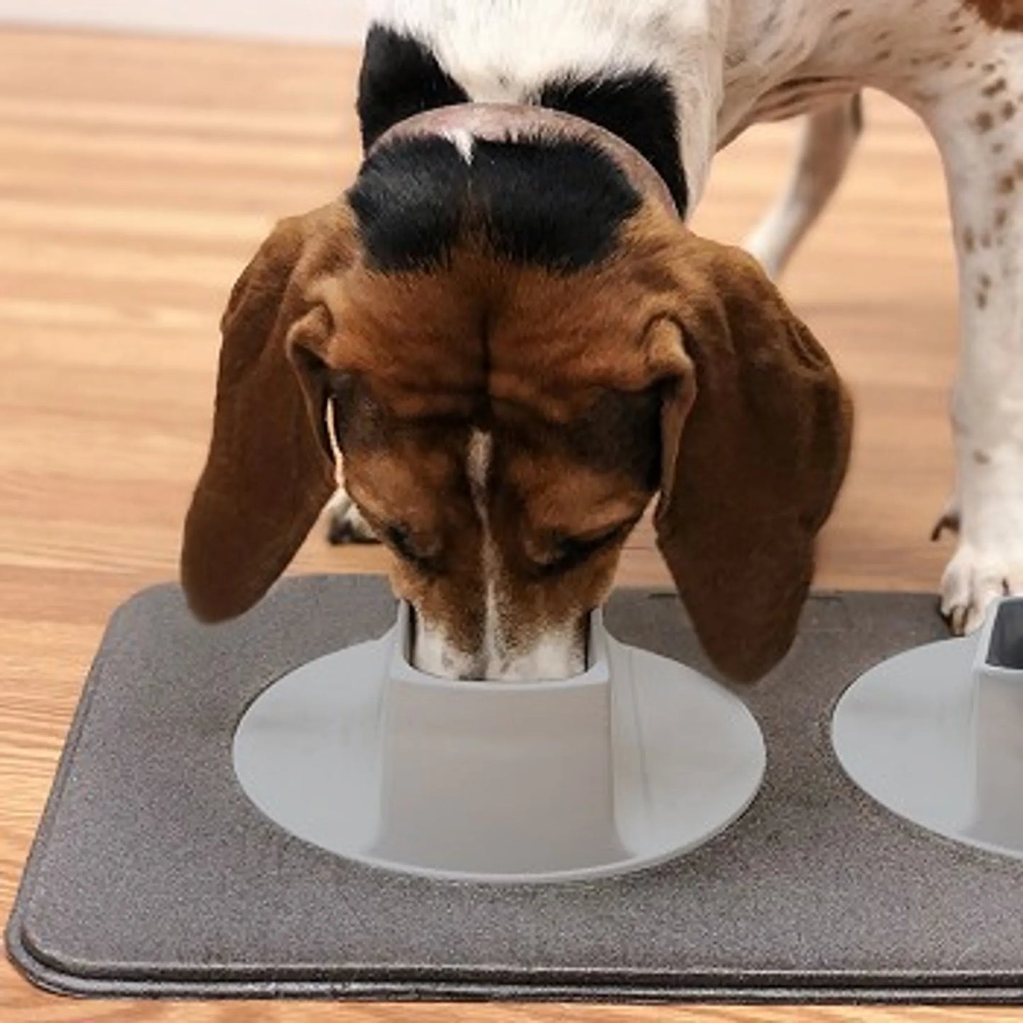 Ear-Clear - Pet Feeding Station