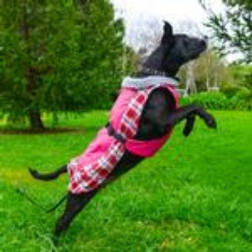 Alpine All-Weather Dog Coat - Raspberry Plaid X-Small to 5X-Large