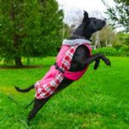 Alpine All-Weather Dog Coat - Raspberry Plaid X-Small to 5X-Large