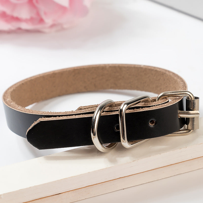 Premium Genuine Leather Dog Collar and Chain for Medium and Large Dogs Black