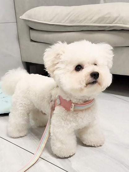 Vest-Style Dog Harness and Leash Set for Small and Medium Dogs set in many colors