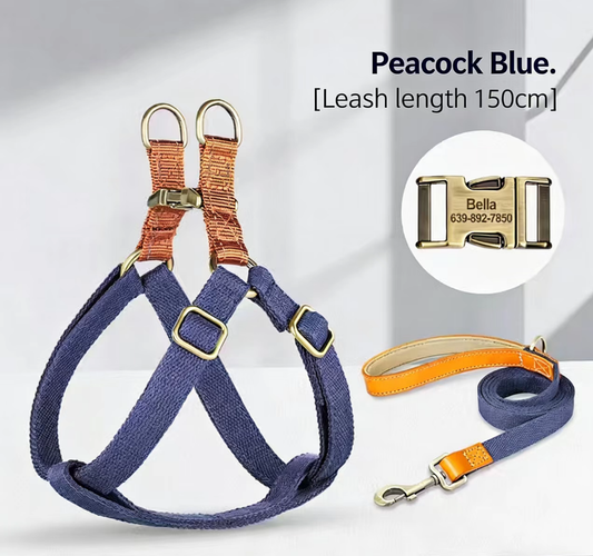 Blue Harness with 1.5 m Leash