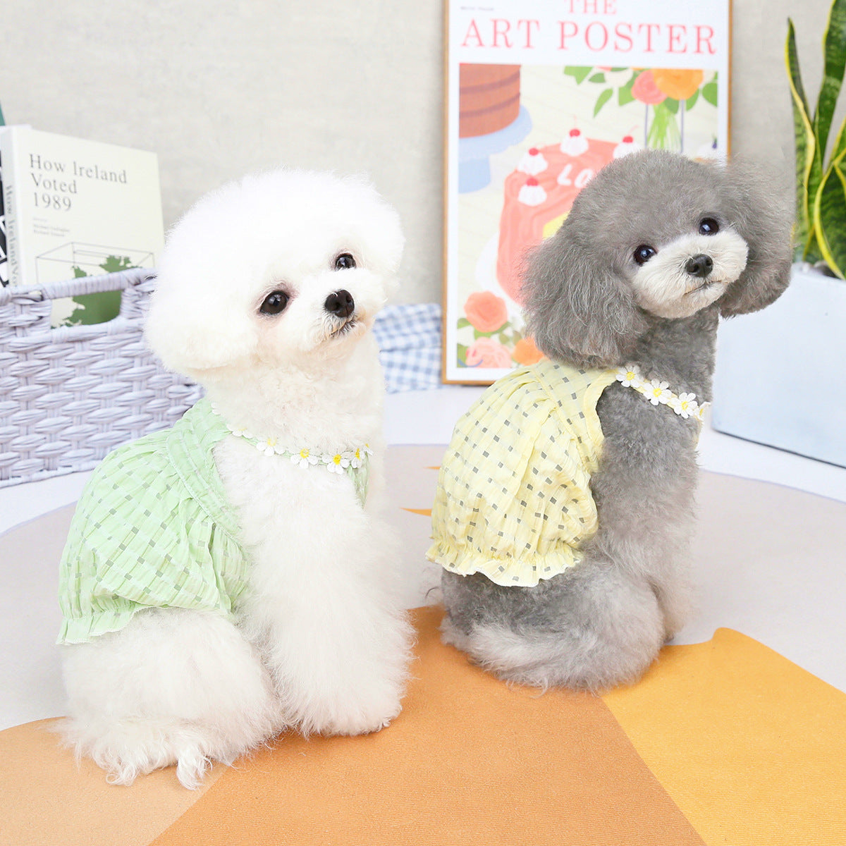 Green and Yellow Pet Clothes Spring And Summer Dog Clothes Small Dog Clothes For Pet