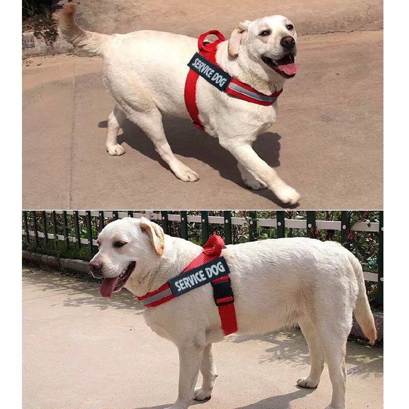 Personalized Service Dog Adjustable Dog Harness Vest Red Color