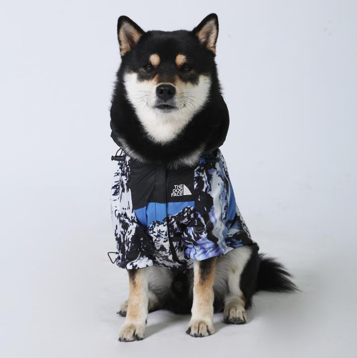 The Dog Face Windbreaker Coat 5 Sizes