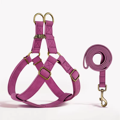 Dog traction rope, dog chest, back, medium and large dog fighting method, dog chest, back belt, medium dog, corgi vest, dog walk