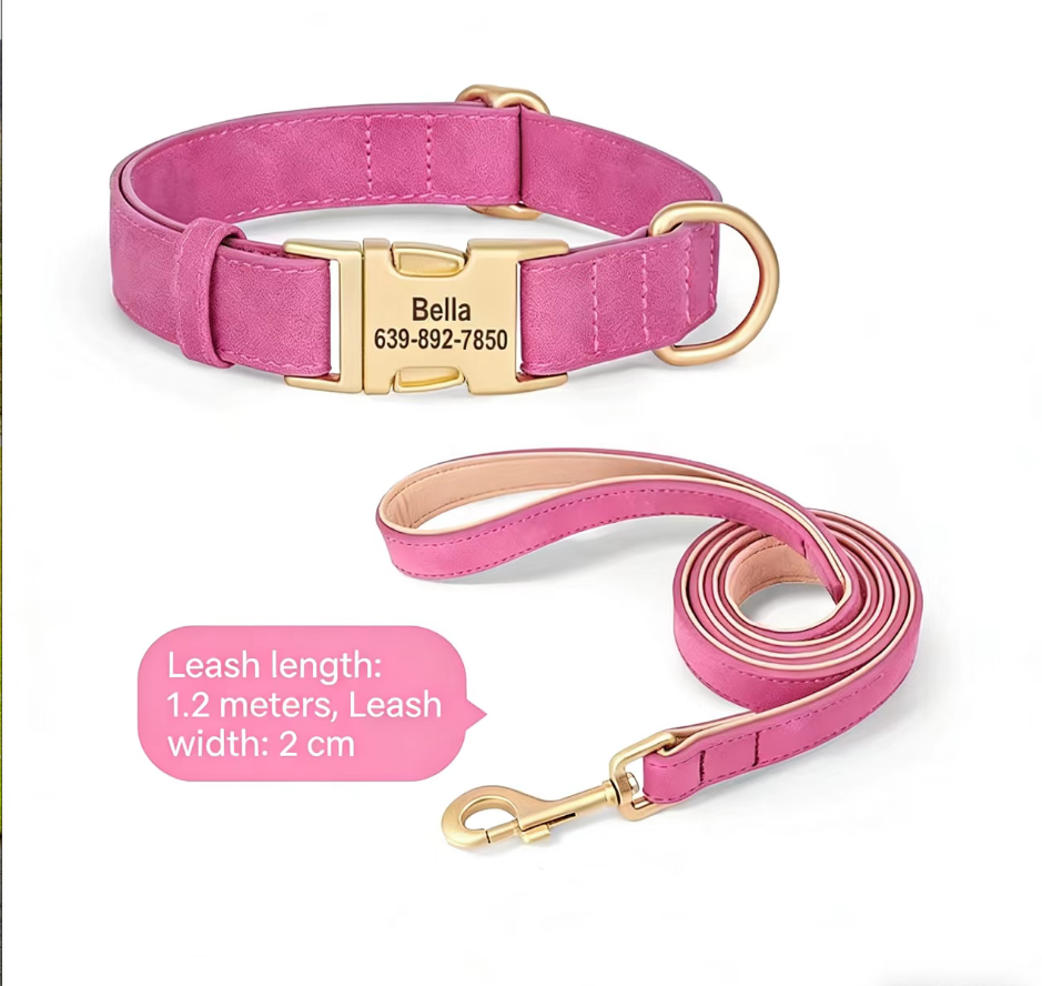 Letter Print Dog Collar for Small Dogs  Pink