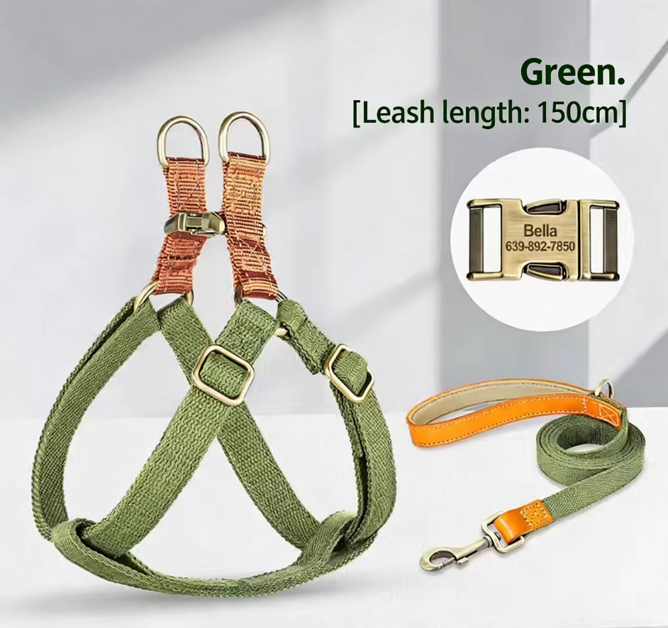 Green Harness with 1.5 m Leash