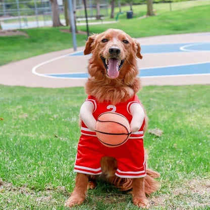 Dog Basketball Player Costume with Plush Basketball red