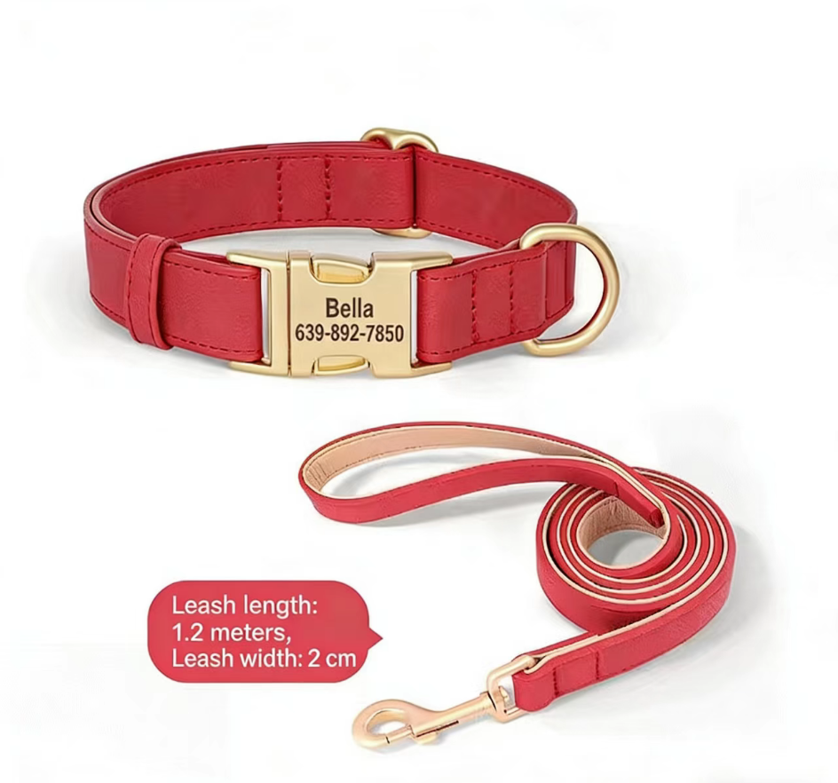 Letter Print Dog Collar for Small Dogs Red