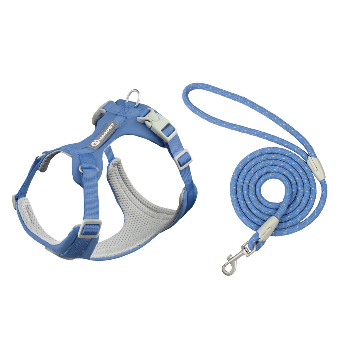 Blue Harness and Leash