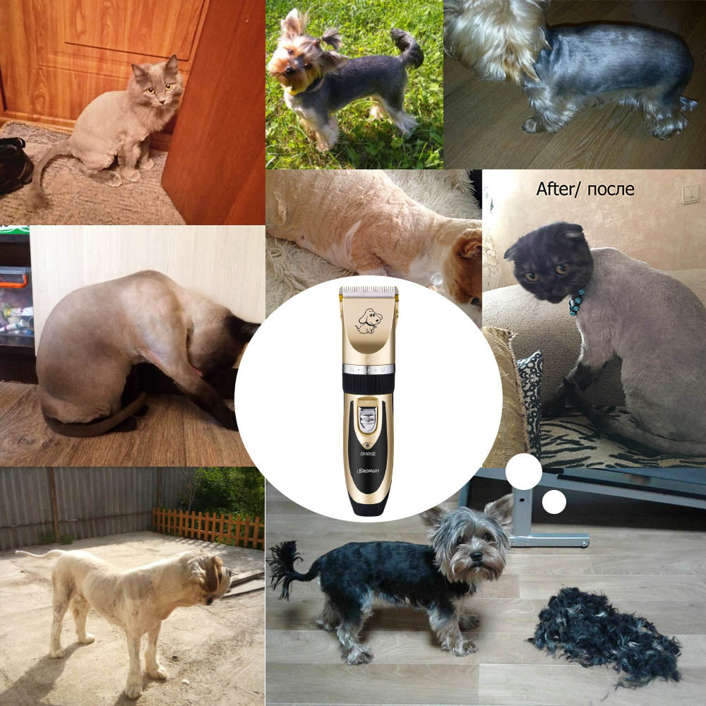 Pet Dog Hair Trimmer for groomers