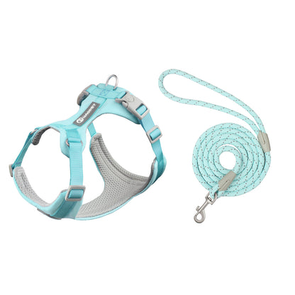 Blue harness and leash set