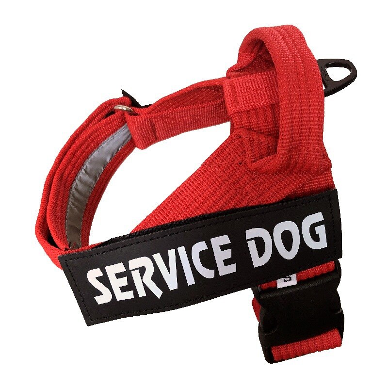 Personalized Service Dog Adjustable Dog Harness 