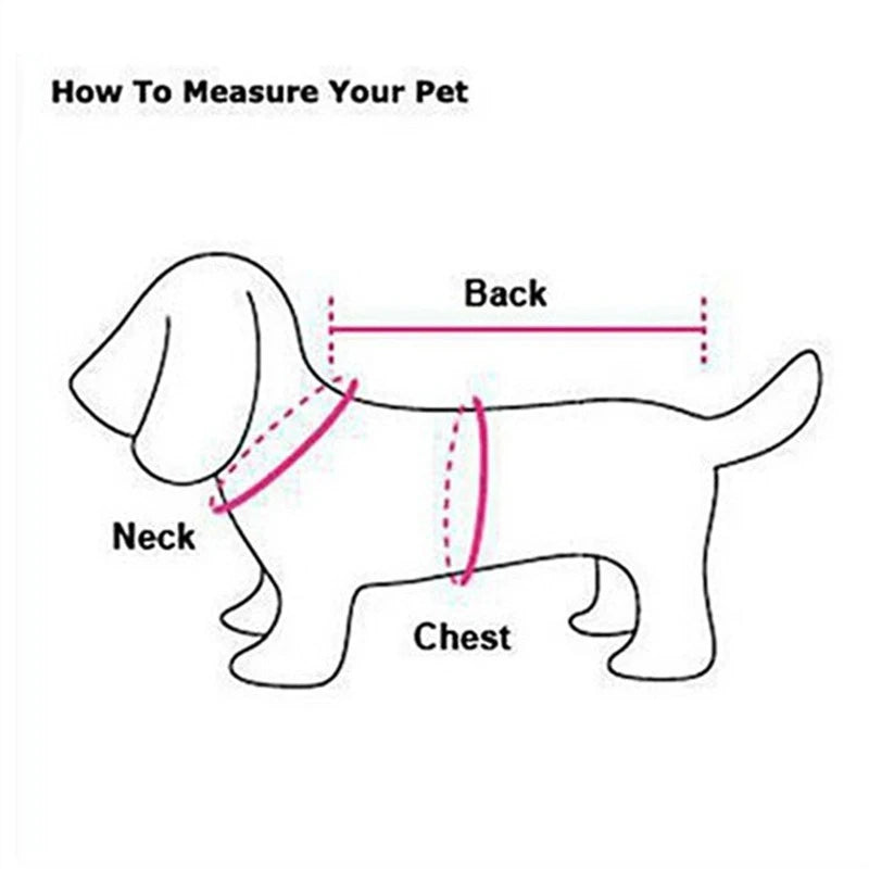 Winter Dog Plush Sweater Measurement chart