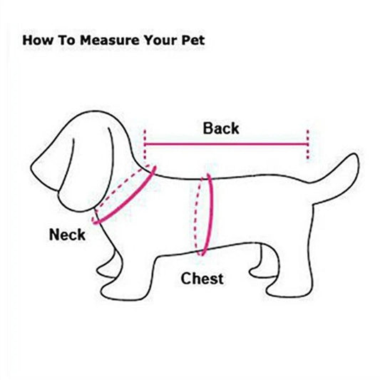 Winter Dog Plush Sweater Measurement chart