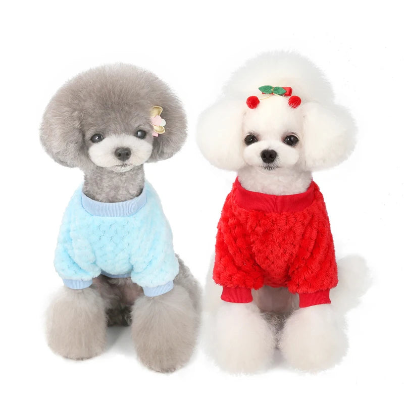 Winter Dog Plush Sweater Front View