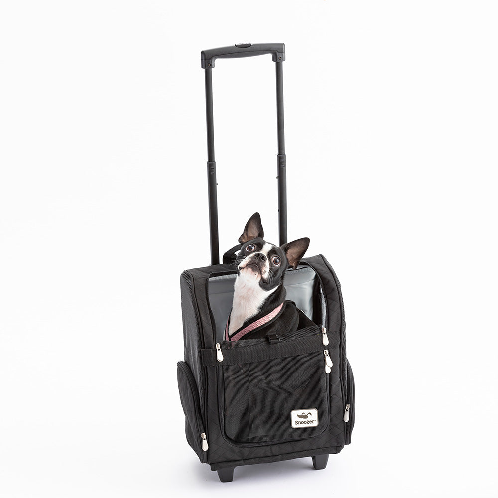 Roll Around - Lg -Black