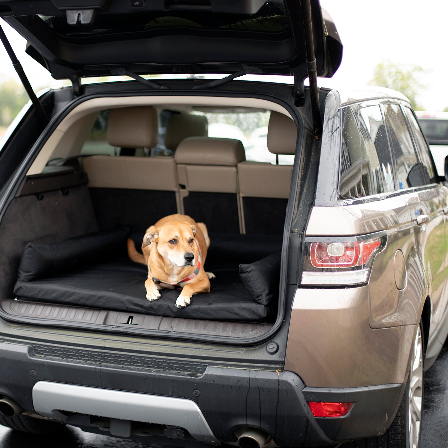 Suv Cargo Bed