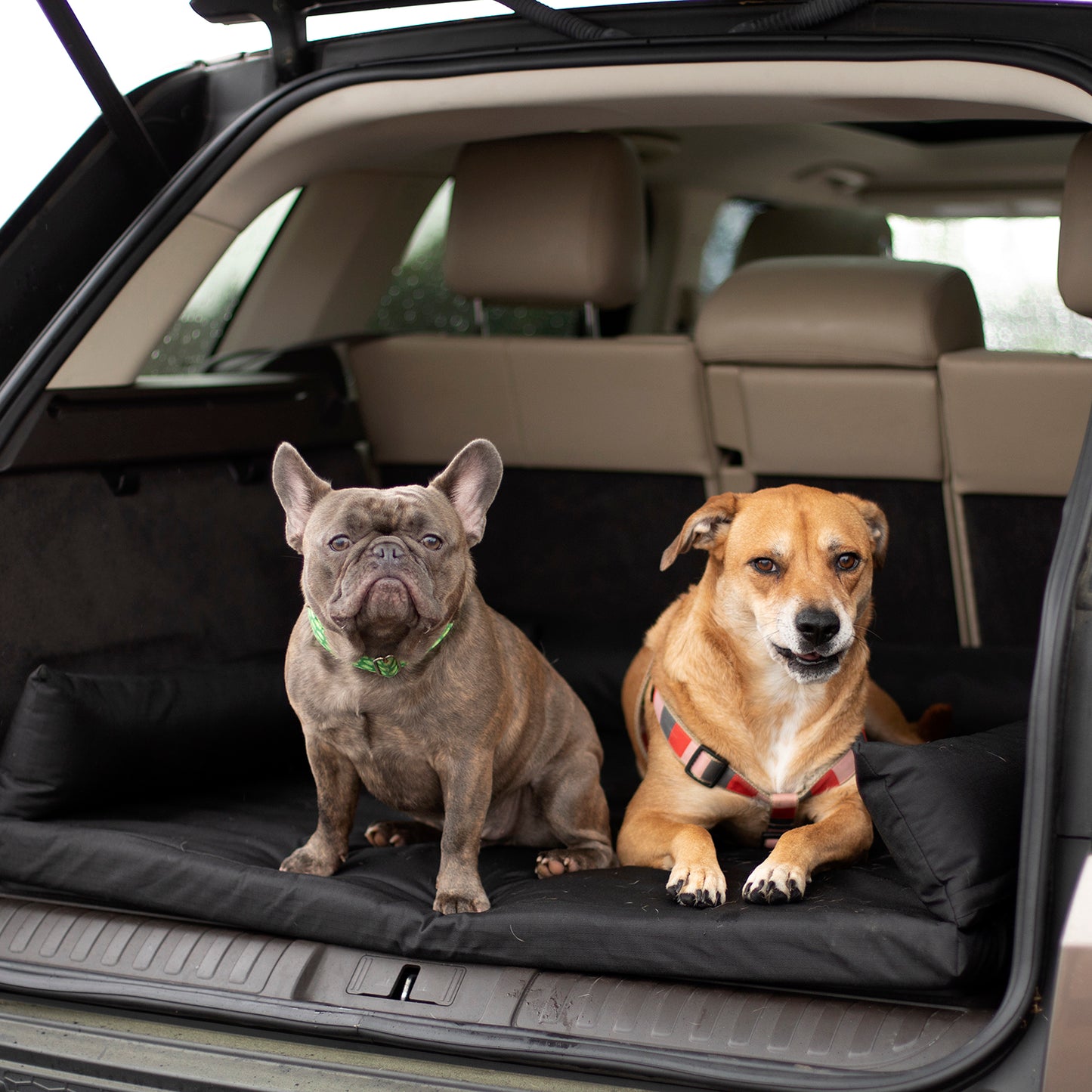 Suv Cargo Bed