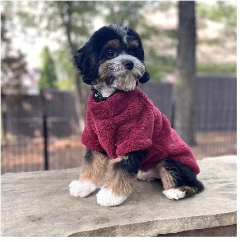 Soft Plush Pullover - Burgundy XS - 4XL