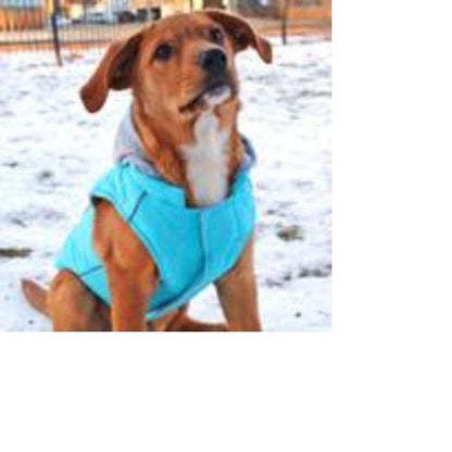 Weekender Dog Sweatshirt Hoodie - Light Blue XS - XL