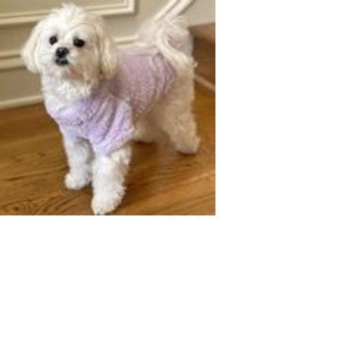Soft Plush Pullover - Lavender XS - 4XL