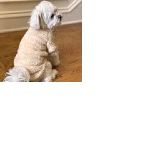 Soft Plush Dog Pullover - Cream XS - 4XL