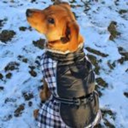 Alpine All-Weather Dog Coat- Black and White Plaid X-Small to 5X-Large