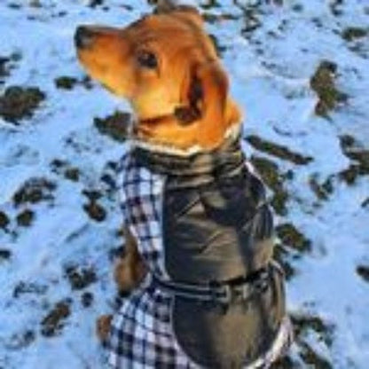 Alpine All-Weather Dog Coat- Black and White Plaid X-Small to 5X-Large