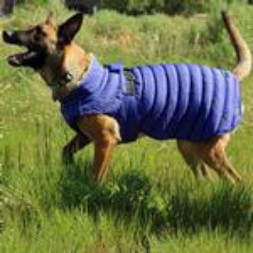 Alpine Extreme Cold Puffer Dog Coat - Blue X-Small to 5X-Large
