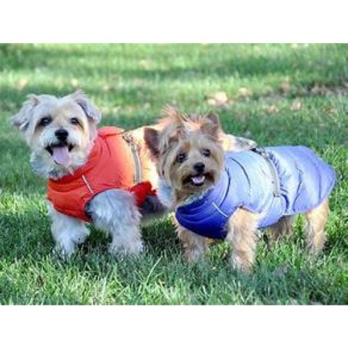 Alpine Extreme Cold Puffer Dog Coat - Orange X-Small to 5X-Large