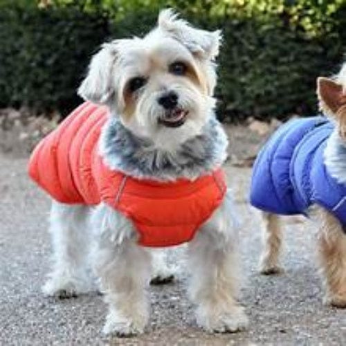 Alpine Extreme Cold Puffer Dog Coat - Orange X-Small to 5X-Large