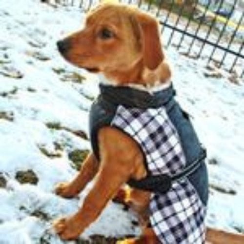Alpine All-Weather Dog Coat- Black and White Plaid X-Small to 5X-Large