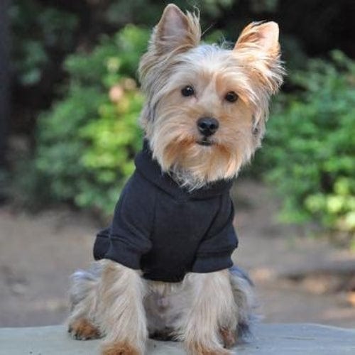 Flex-Fit Dog Hoodie - Black XS - 4XL