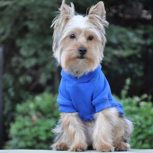 Flex-Fit Dog Hoodie - Blue XS - 4XL