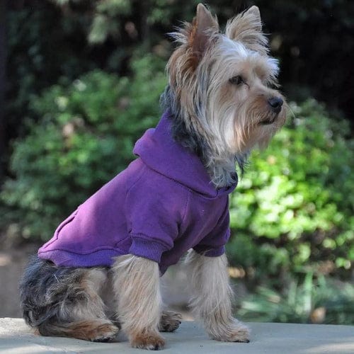 Flex-Fit Dog Hoodie - Purple XS - 4XL