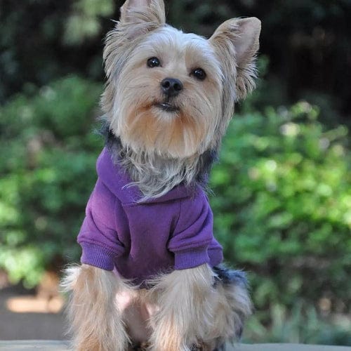 Flex-Fit Dog Hoodie - Purple XS - 4XL