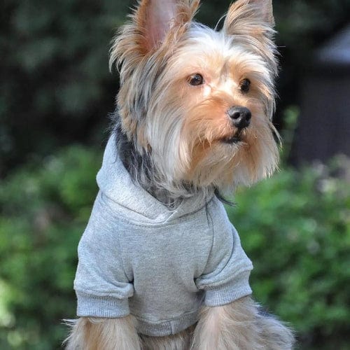 Flex-Fit Dog Hoodie - Gray XS - 4XL