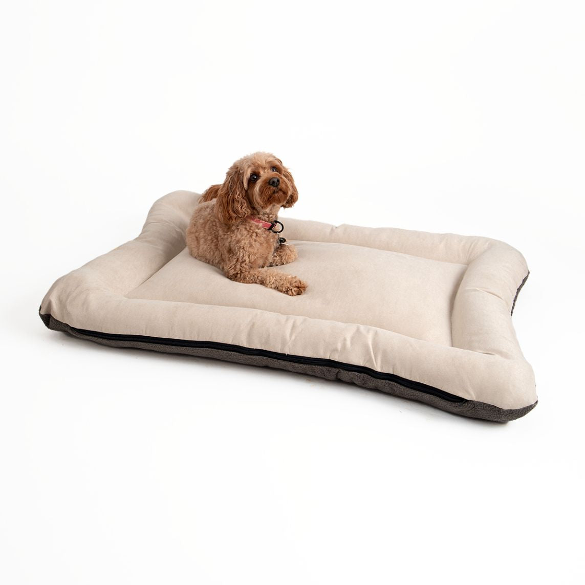All Day Bed - Xl (37X50) - Buckskin/Ash