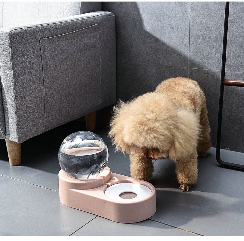 Large Pet Feeder Automatic Drinking Fountain and Food Bowl Pet Water Dispenser with Mouth Separator Side view