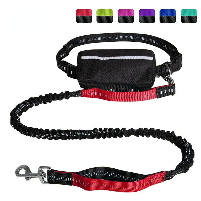 Enjoy Hands Free Dog Leash with Zipper Pouch; Dual Padded Handles and Durable Bungee for Walking; Jogging and Running Your Dog