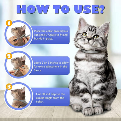 How to use on Cats