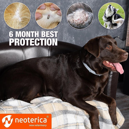 Natural Flea Tick Collar for Dogs 6 Months Control of Best Prevention Safe Treatment Anti Fleas and Ticks Essential Oil Repellent 1 Pack 2 Count
Protection for 6 months